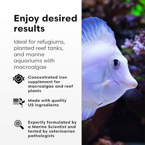 Ferrion Iron Supplement for Reef Aquariums (2-L)