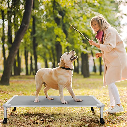 Chew Proof Elevated Dog Bed (Gray / 42.0"L x 30.0"W x 7.0"Th)