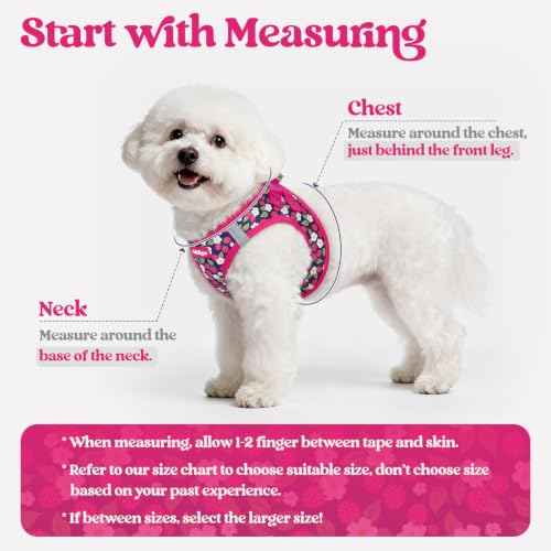 Dog Harness Medium Sized and Leash Set (Pink Berry / M (chest: 16 - 18.5"))
