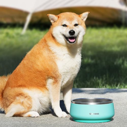 Dog Bowl 34 oz Stainless Steel Food and Water Bowl (34oz / Mint Green)