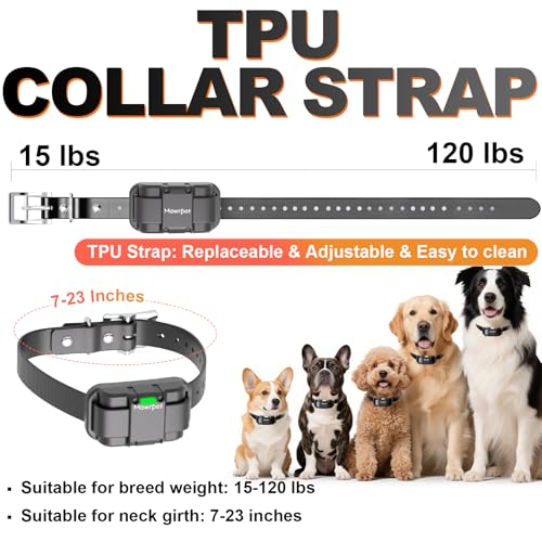 Dog Shock Collar 2 Dogs (2 collars with remote)