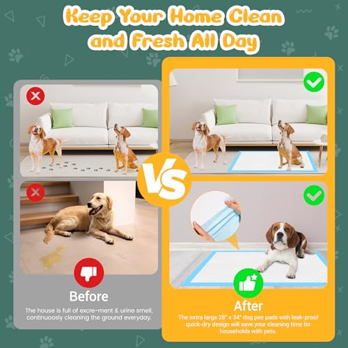 60 Count Extra Large Dog Pee Pads 28" x 34" (28"x34"-60 Count)