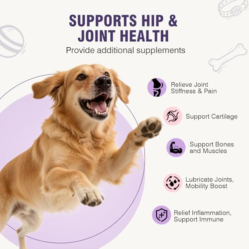 Joint Supplement for Dogs 200 ct (2 g/capsule 200pcs)