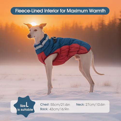 Dog Coat for Small Dogs (Dark Blue / S(chest:17in))