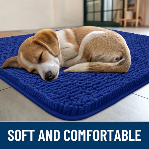 Dog Door Mat for Muddy Paws 30x20 (Royal Blue / 30"X20")