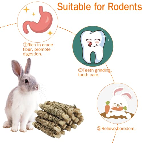 18 PCS Guinea Pig Chew Toys