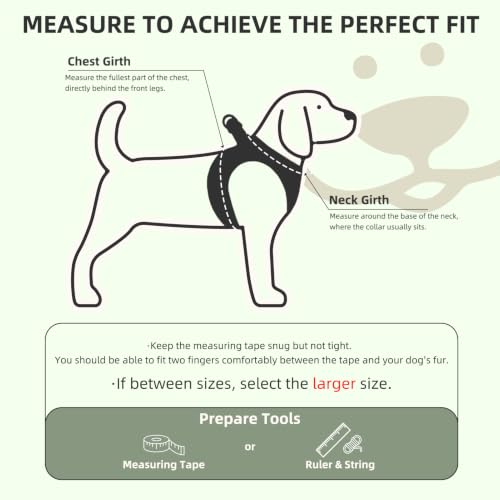 Dog Harness Collar and Leash Set No Pull for Small Medium Sized (Yellow Green / XS (CHEST 13"-14.5"))