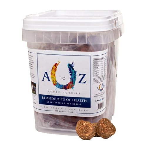 Horse Treats Blonde Bits of Health