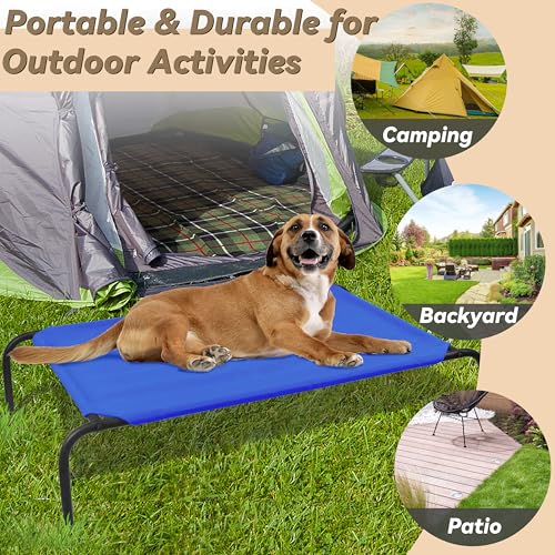 Elevated Dog Bed for Medium Dogs (Medium / Blue)