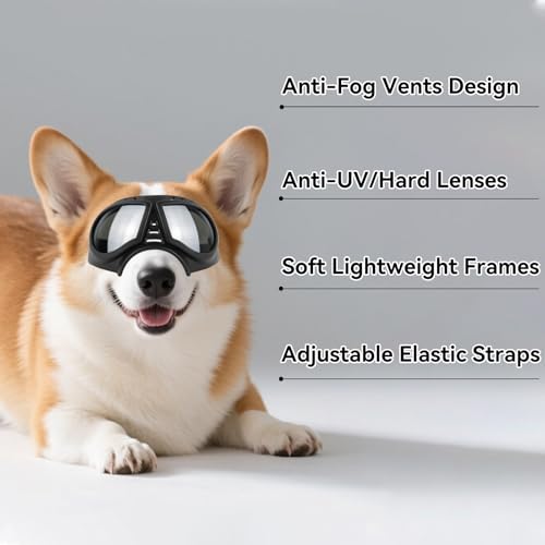 Small Dog Goggles Windproof for Small (Silver Lenses / Medium)