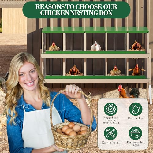 10 Hole Chicken Nesting Box with Roll Out Egg Tray