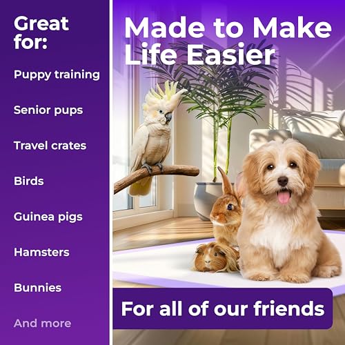 Pee Pads Super Absorbent & Leak (Purple / 80 Pack - 22x22)
