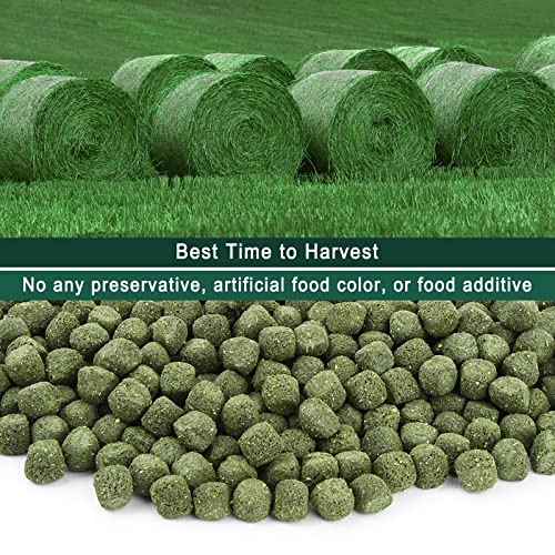 Small Timothy Hay Cubes 60oz (10 Ounce (Pack of 6))