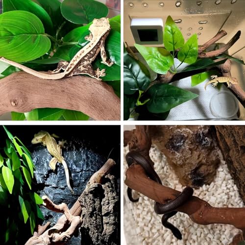 2PCS Reptile Wood Branches Decor (2Pcs 12in Reptile Wood Branches)