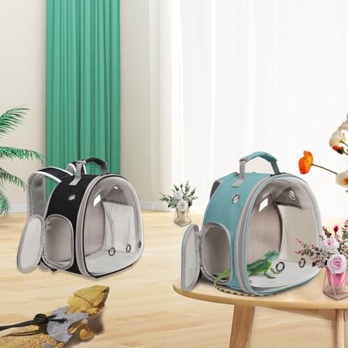 Bearded Dragon Travel Backpack with Harness and Leash Set (Green)
