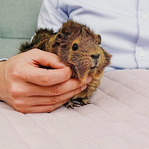 Premium Liner Fleece Guinea Pig Cage Liner (C&C 2x4)