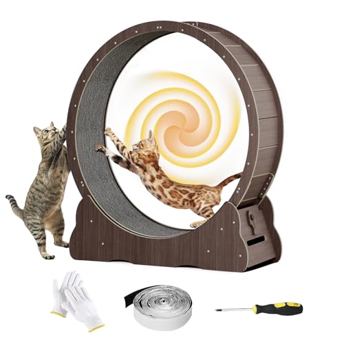 Cat Running Wheel (XL / Brown)
