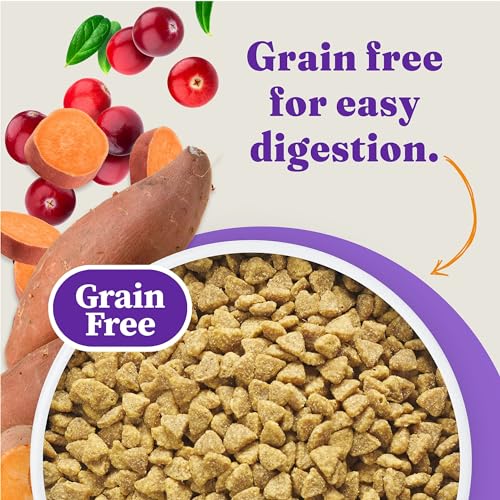 Holistic Indoor Dry Cat Food