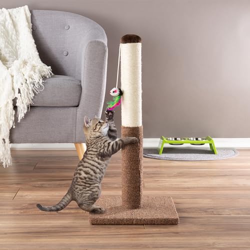 Cat Scratching Post (Brown)
