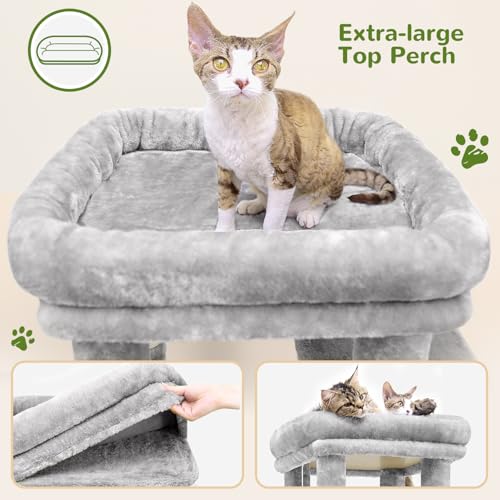 Heavy Duty Cat Trees for Big Cats Maine Coon (Cloud Grey / 61inch)