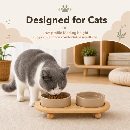 Raised Cat Bowl 5.1” Elevated Ceramic Cat Food and Water Bowl Set (Greige)