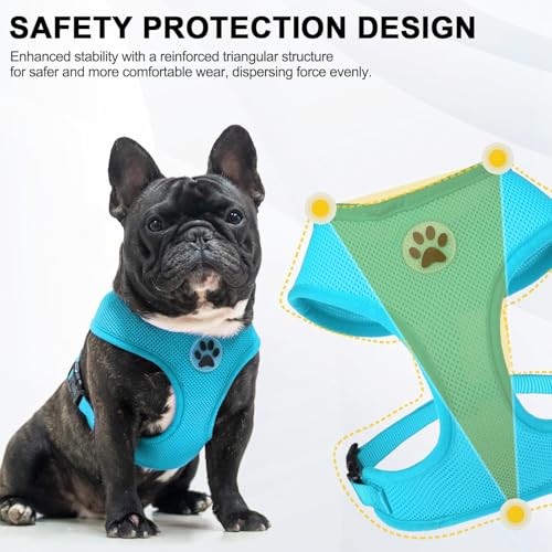 Small Dog Harness (M (NECK: 14", CHEST: 17"-21") / Royal Blue)