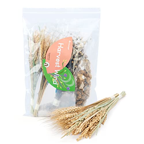 Natural & Soft Hamster Bedding Mate (Harvest Version)