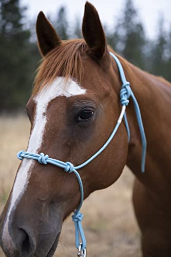 Horse Rope Training Halter (Ice Blue / Yearling)