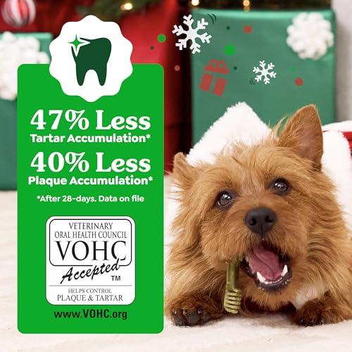Petite Natural Dental Dog Treats (10 Count (Pack of 1))