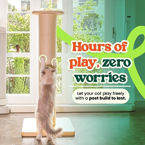 50" Tall Cat Scratching Post