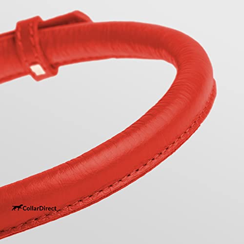 Tangle Free Rolled Leather Dog Collar