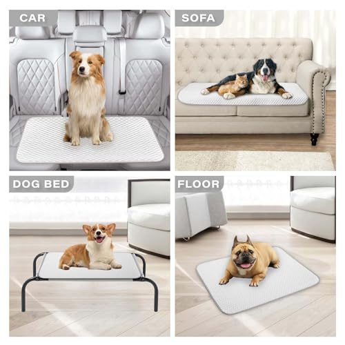 Pet Cooling Mat & Sleeping Pad