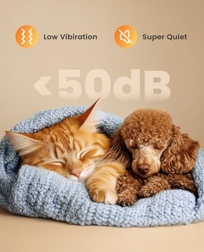 Cat Grooming Kit