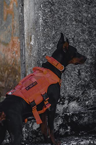 Mesh Design Tactical No Pull Dog Harness for Large Dogs (Orange / XL)