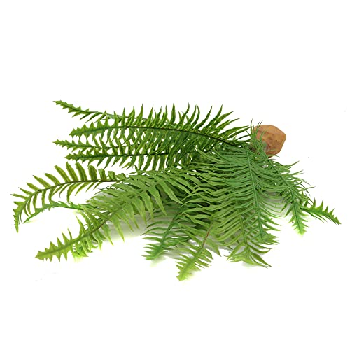 Fake Fern Plants