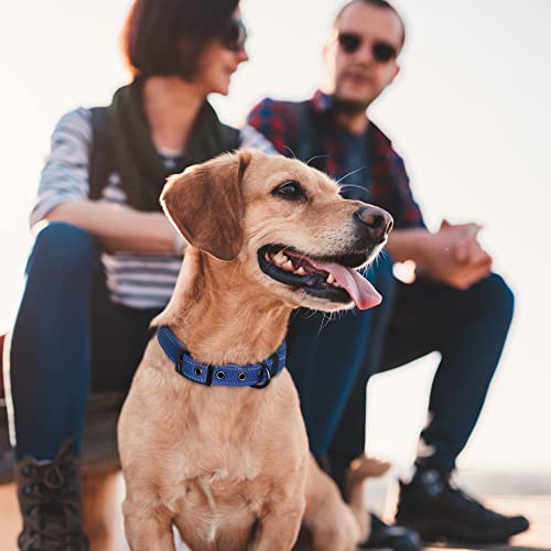 Padded Dog Collar for Small Dogs with Metal Belt Buckle (Small(11”-14.5“) / Blue)