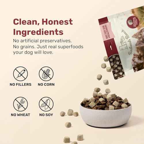 Superfood Nuggets (8 Ounce (Pack of 1))