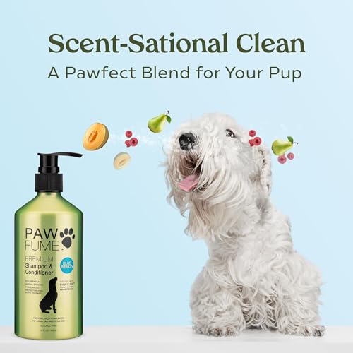 PAWFUME Dog Shampoo and Conditioner (Shampoo & Conditioner Blue Ribbon / Pack of 1)