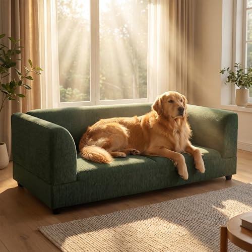 Oversized Dog Sofa Couch for Medium and Large Dogs with Backrest and Armrest (56.5 inch / Green)