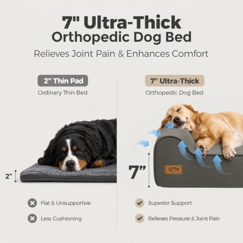 XXL 35D Memory Foam Dog Bed for Extra Large Dogs (XX-Large / Dark Grey)