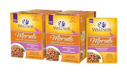 Healthy Indulgence Morsels Adult Wet Cat Food (3 Ounce (Pack of 24))