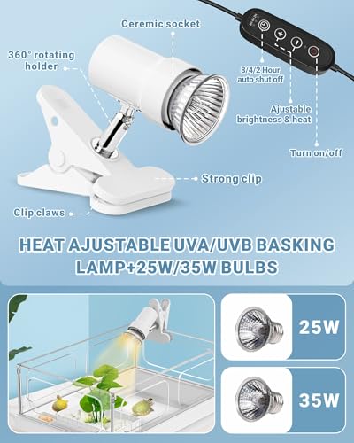 Small Turtle Tank Kit