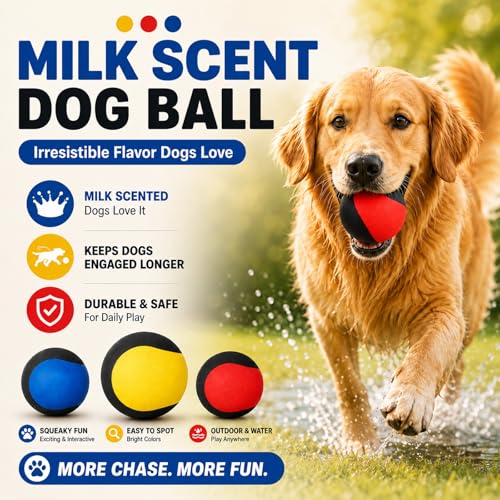 Squeaky Balls for Dogs (RedBlack)