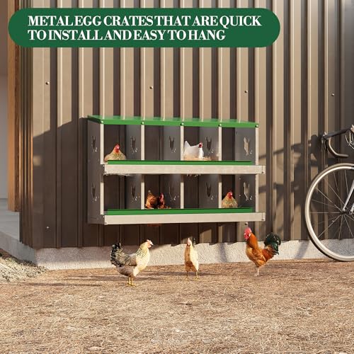 8 Hole Chicken Nesting Box with Roll Out Egg Tray