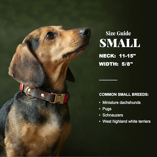 PU Leather Dog Collar for Small Dogs Puppy (Red / S: Neck 11-15", Width ⅝")