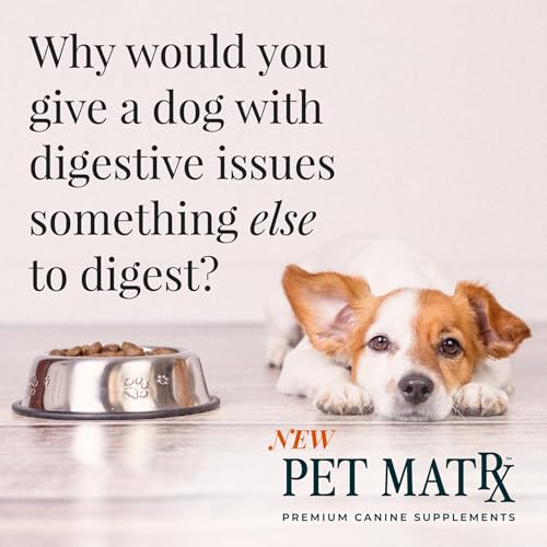 Think Cognitive and Calming Supplement with Collagen and Magnesium (Small/Medium Breeds)
