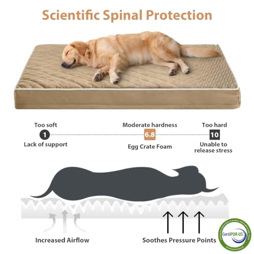 Orthopedic Waterproof Extra Large Senior Dogs Bed for Comfy Sleep (brown / 42"L x 30"W x 4"Th)