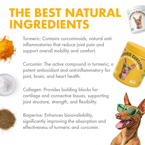 Turmeric Curcumin Hip & Joint Supplement for Dogs (Turmeric / 30)