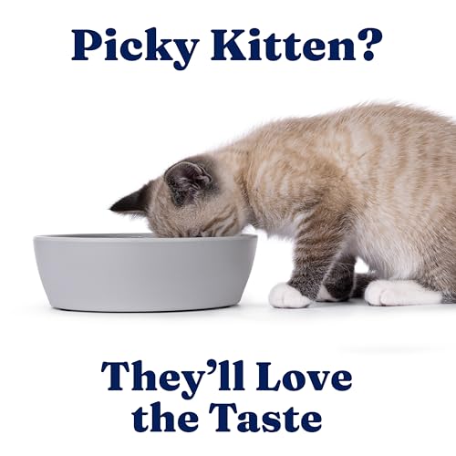 Indoor Wet Kitten Food (24 Pack)