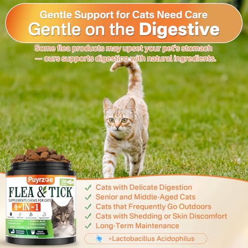 Flea and Tick Prevention for Cats